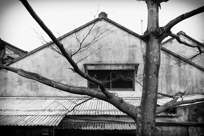 *，台北市，城市衰败，树木，黑白，建筑，建筑结构，没有人