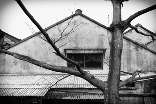 *，台北市，城市衰败，树木，黑白，建筑，建筑结构，没有人