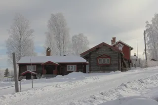 白树附近的棕色混凝土房子
