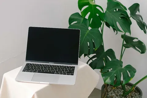 绿叶植物旁的MacBook Pro