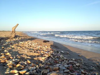 法国，贝齐尔，贻贝，海滩，贝齐尔斯，水，海，陆地