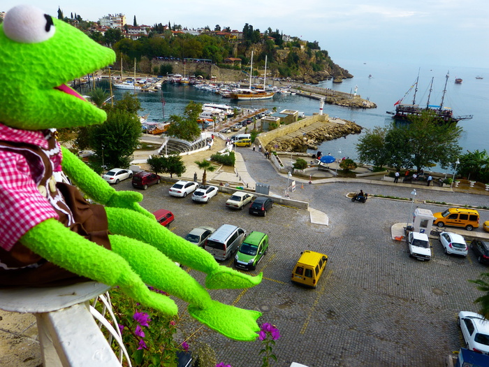 科米特，青蛙，视图，安塔利亚，港口，绿色，汽车，道路