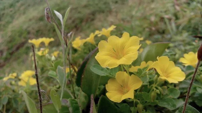 山、海、蓝、水、自然、景观、湖泊、泡沫