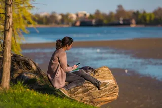 罗马尼亚，布丘里ști，赫拉斯特劳，体验，移动，湖泊，树木，森林