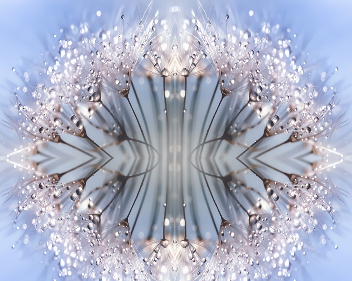 发光, 季节, 万花筒, 闪闪发光, 水晶, 抽象, 美丽, 装饰