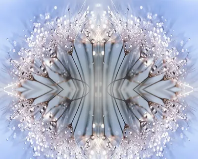 发光, 季节, 万花筒, 闪闪发光, 水晶, 抽象, 美丽, 装饰