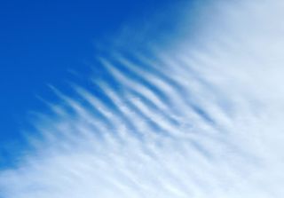 美国，失马矿，蓝色，图案，波浪，云，约书亚树，沙漠