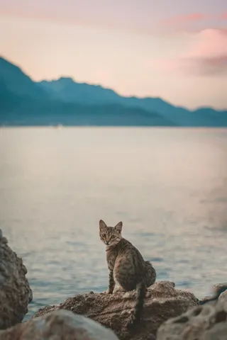 海，假期，水，天空，自然，海滩，海洋，夏天