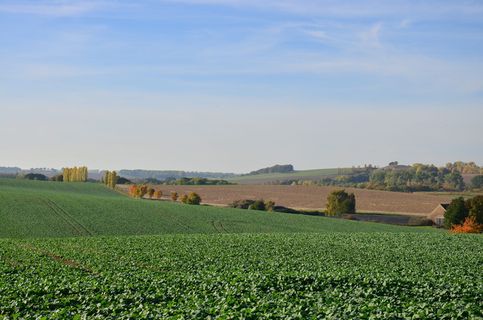 遵循lommatzscher care、käbschütztal、撒克逊托斯卡纳、耕地、景观、天空、农业、田地 遵循lommatzscher care、käbschütztal、撒克逊托斯卡纳、耕地、景观、天空、农业、田地