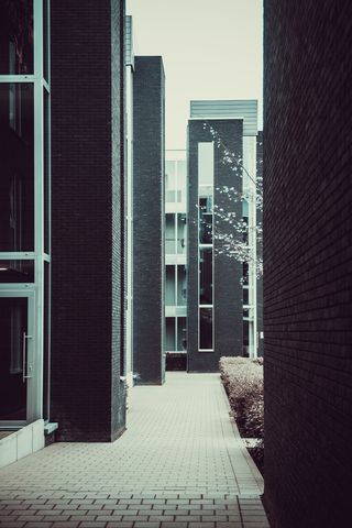 比利时，鲁汶，公寓，壁纸，墙壁，复古，城市，纹理