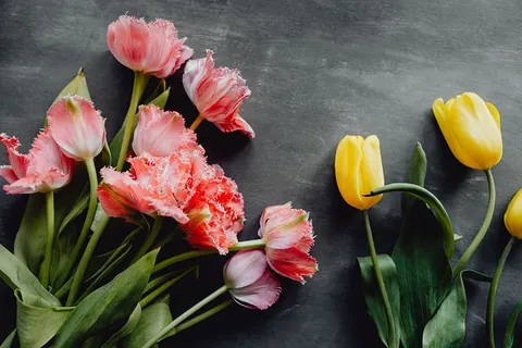 灰色背景上的彩色花朵，带有复制空间