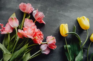 灰色背景上的彩色花朵，带有复制空间