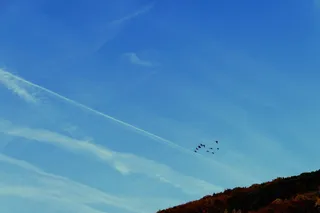 鸟群，鸟，风景，天空，群，飞行，候鸟，云