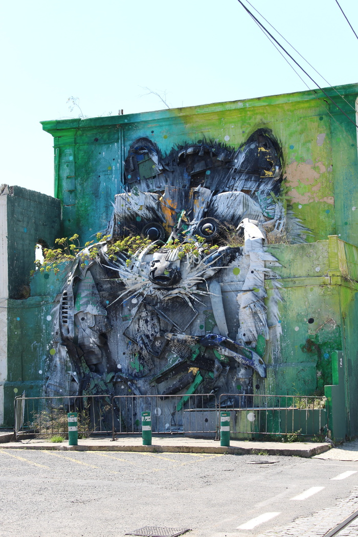 混凝土建筑墙上画的灰浣熊