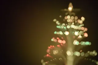 散焦、庆典、照明、装饰、节日、圣诞节、圣诞树、圣诞树