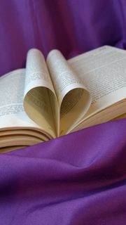 出版物、书籍、教育、页面、紫色、室内、开放、特写