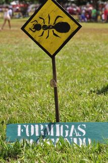 绿色、昆虫、正弦、花园、自然、通信、标志、草