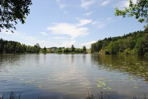 schnaitsee,巴伐利亚州上部,巴德西,夏季,睡莲,睡莲垫,云,天空 schnaitsee,巴伐利亚州上部,巴德西,夏季,睡莲,睡莲垫,云,天空