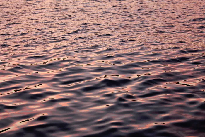 水体，水，海，海洋，自然，游泳，粉色，黎明