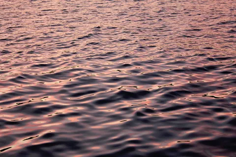 水体,水,海,海洋,自然,游泳,粉色,黎明 水体,水,海,海洋,自然,游泳,粉色,黎明