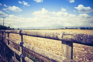 特写，云，篱笆，草，风景，光，自然，户外