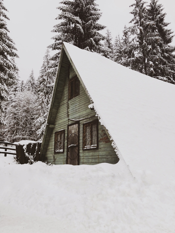 雪盖木屋，建筑，房屋，冷杉，冷杉，植物，树木，户外