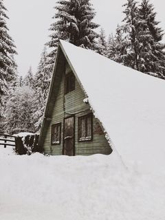 雪盖木屋，建筑，房屋，冷杉，冷杉，植物，树木，户外