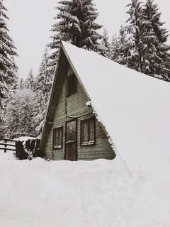 雪盖木屋,建筑,房屋,冷杉,冷杉,植物,树木,户外 雪盖木屋,建筑,房屋,冷杉,冷杉,植物,树木,户外