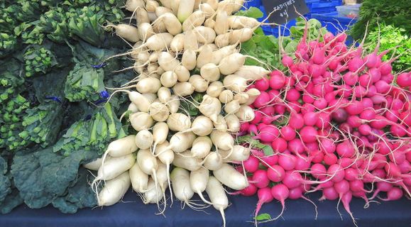 美国西雅图萝卜蔬菜甘蓝白绿色红色