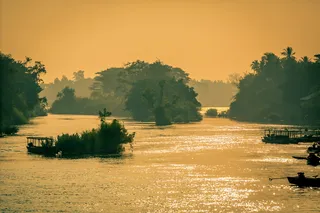 老挝，唐德，湄公河，日出，河流，树木，早晨，水