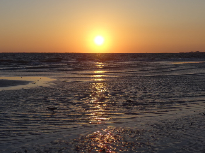 日落, 海洋, 夏天, 海湾, 水, 天空, 海, 风景 - 自然