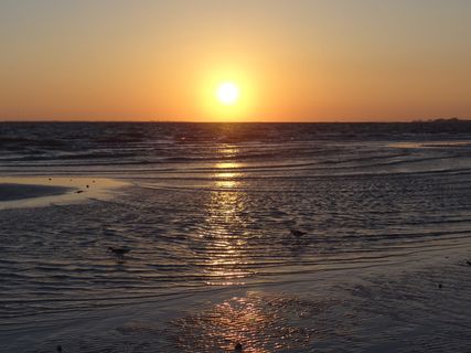 日落, 海洋, 夏天, 海湾, 水, 天空, 海, 风景 - 自然
