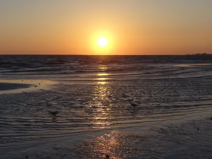 日落, 海洋, 夏天, 海湾, 水, 天空, 海, 风景 - 自然