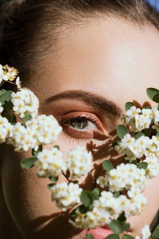 花，植物，花，人，人，插花，花瓣，花粉