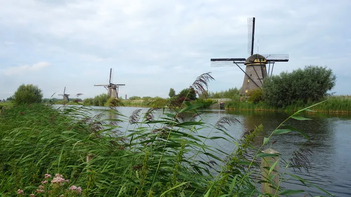 风车、磨坊、kinderdijk、文化遗产、圩区、grondzeilers、排水、Boezemaffeating