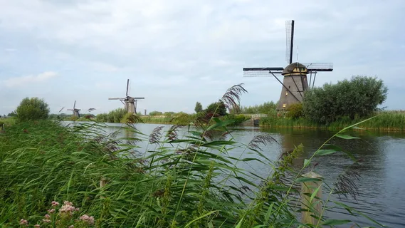 风车、磨坊、kinderdijk、文化遗产、圩区、grondzeilers、排水、Boezemaffeating 风车、磨坊、kinderdijk、文化遗产、圩区、grondzeilers、排水、Boezemaffeating