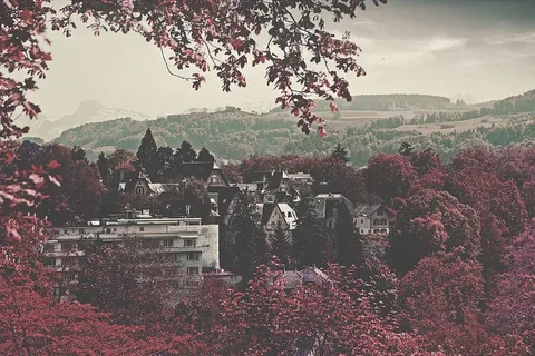 城市,风景,树木,粉色,紫色,紫色,郁郁葱葱,风景如画 城市,风景,树木,粉色,紫色,紫色,郁郁葱葱,风景如画