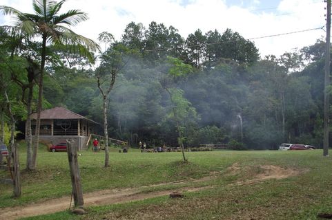 露营、自然、售货亭、生态、树木、植物、生长、草