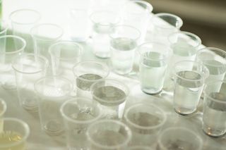 加拿大、温哥华、饮料、活动、液体、起泡、水、派对