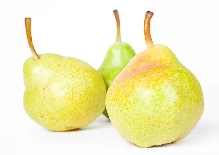 梨，梨，水果，白，食物，无人，工作室，健康