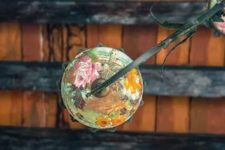 蛇，爬行动物，动物，宇宙，太空，天文学，外太空，行星