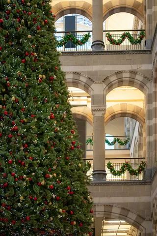 圣诞树，圣诞树，植物，装饰品，阿姆斯特丹，荷兰，扶手