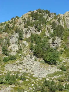 山,比利牛斯山,圆,盘,高山,圆盘,冷杉,岩石-物体 山,比利牛斯山,圆,盘,高山,圆盘,冷杉,岩石-物体