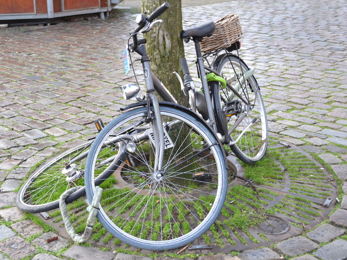 自行车，荷兰，荷兰，旅游，欧洲，自行车，街道，旅游