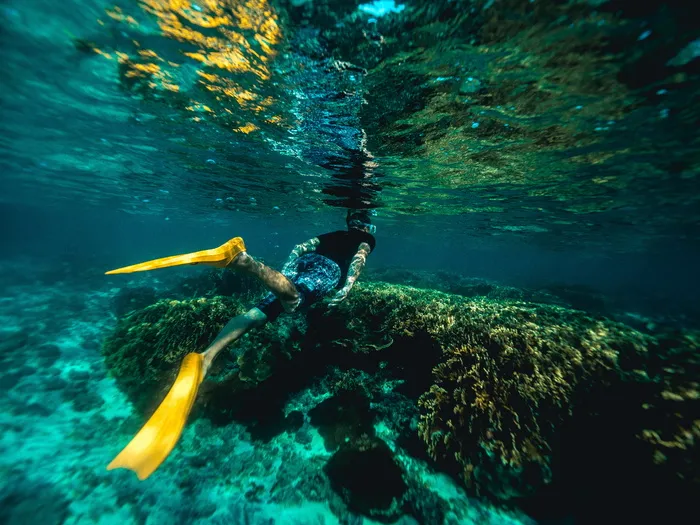 uderwater，旅行，浮潜，海洋，潜水员，海洋，水，冒险