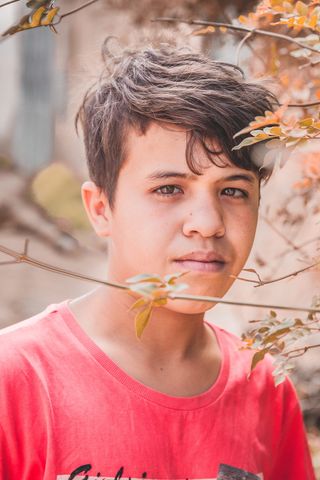 阿尔及利亚，khemis miliana，户外，眼睛，中午，白天，shinny，我的小朋友