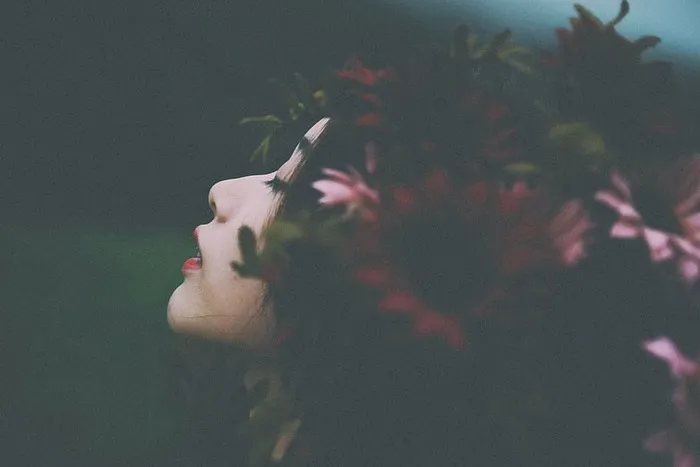 女人的头发，花，人，女人，美女，花，红，花瓣