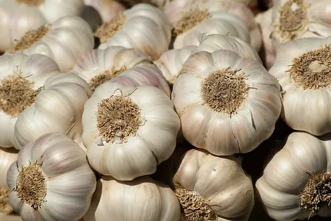 采购产品大蒜鳞茎,大蒜,蔬菜园,花园,收获,市场,食品和饮料,大蒜鳞茎 采购产品大蒜鳞茎,大蒜,蔬菜园,花园,收获,市场,食品和饮料,大蒜鳞茎
