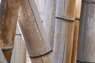 自然，户外，冒险，壁纸，高清，树，云，天空