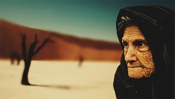 白天在光秃秃的树后戴黑色头巾的女人 白天在光秃秃的树后戴黑色头巾的女人